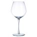 Cabernet Vins Jeunes Wine Glass 20oz
