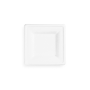 6in square bagasse plate