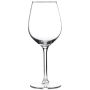 Fortius Wine Glass 18oz