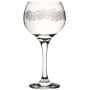 Infusion Gin Glass 19.75OZ