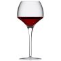 Open Up Tannic Wine Glass 18.5oz FULL