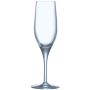 Sensation Exalt Champagne Flute 6.25oz