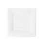 10in square bagasse plate