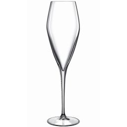 Atelier Crystal Champagne Flutes