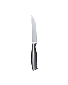 Steak Knife S/S Handle Tapered Blade Plain