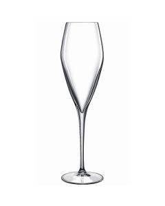 Atelier Crystal Champagne Flutes