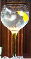 An Introduction to Sophisticated Gin Glasses
