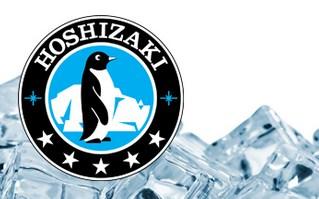 Buy Hoshizaki Ice Makers Online - Ascot Wholesale