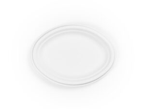 10in bagasse oval plate