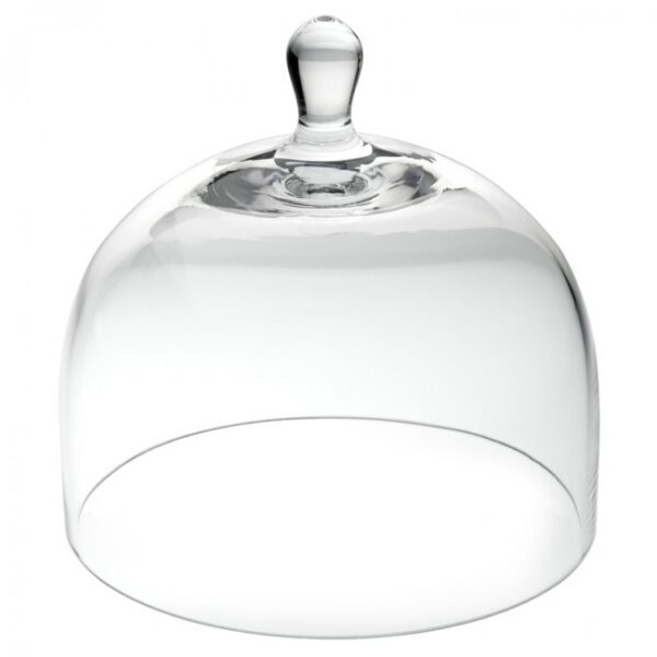 Glass Cloche 6"