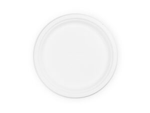 10in bagasse plate