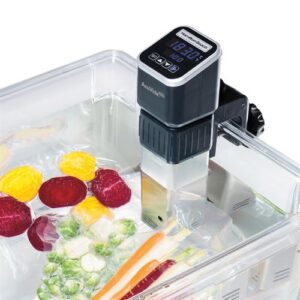 Sous Vide Immersion Circulator