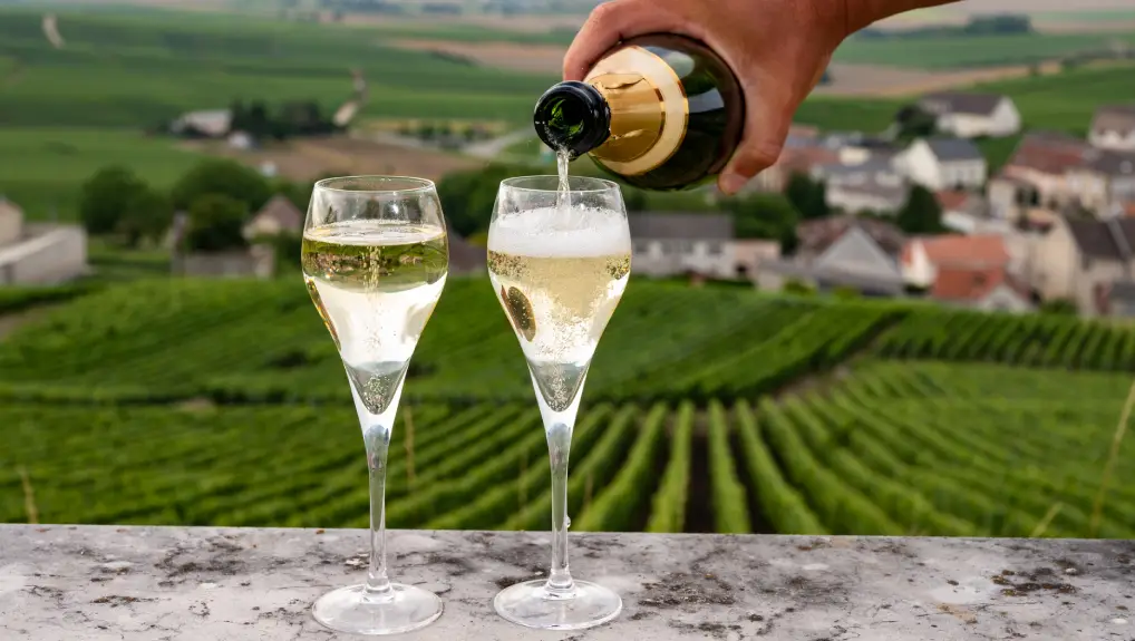 image of Tasting of brut and demi-sec white champagne sparkling wine from special flute glasses with view on green Champagne vineyards, France