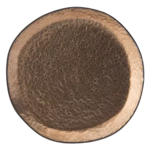 Utopia Midas Plate Copper 26cm/10.25"
