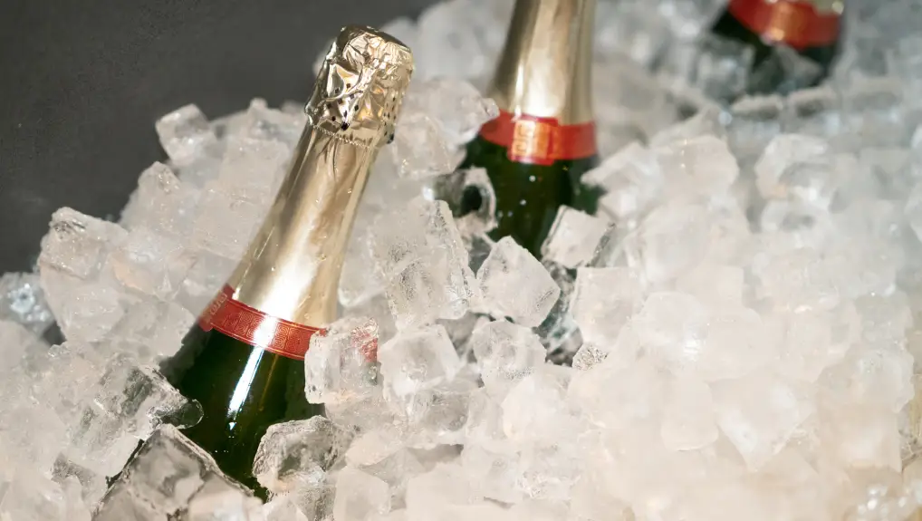 image of bottles in ice buckets