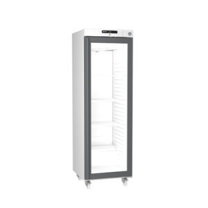 Compact FG 420-L-C-DR G U Freezer with Glass Door