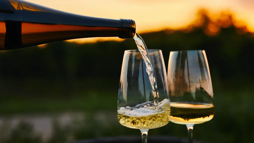 image of Pouring white wine into glasses in the vineyard at sunset