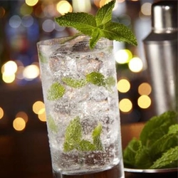 Tumbler & Highball Glasses