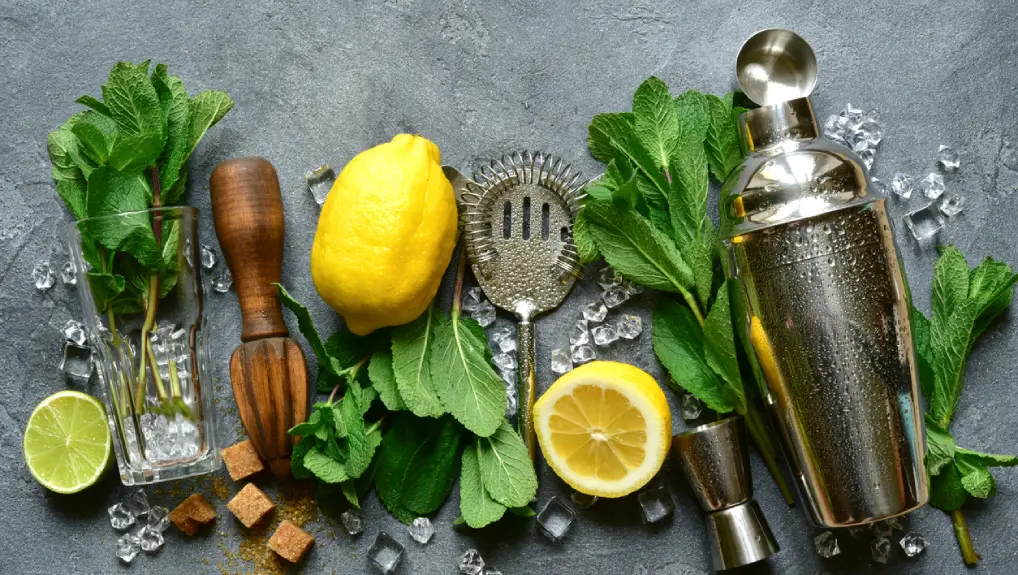 An image of a cocktail shaker surrounded by garnishes and other cocktail-making tools