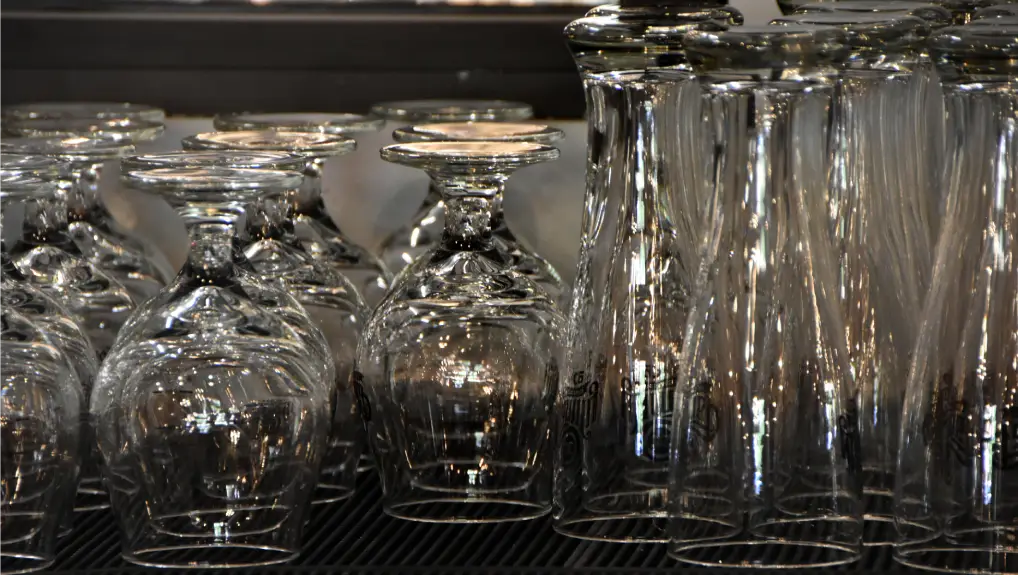Freshly washed beer glassed upside down on a drying rack

