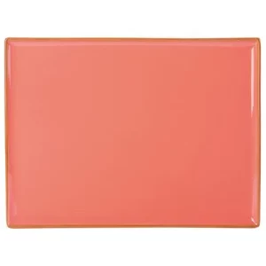 DPS Seasons Coral Rectangular Platter 27 x 20cm/10.75 x 8.25"