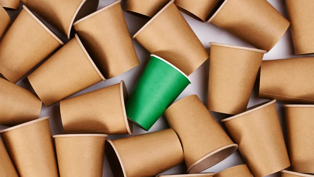 image of bio-degradable cups that are eco-friendly