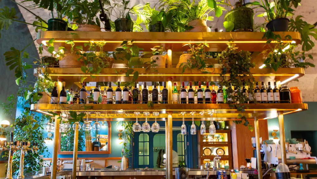 image of foliage and greenery in a bar space