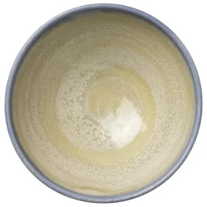 Steelite Aurora Revolution Bluestone Tulip Bowl 14cm/5.51"