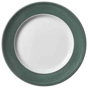 Steelite Revolution Edge Jade Harmony Plate 27cm/10.63"