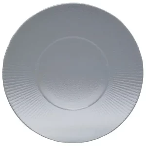 Steelite Willow Gourmet Clear Medium Well Plate 27cm/10.63"