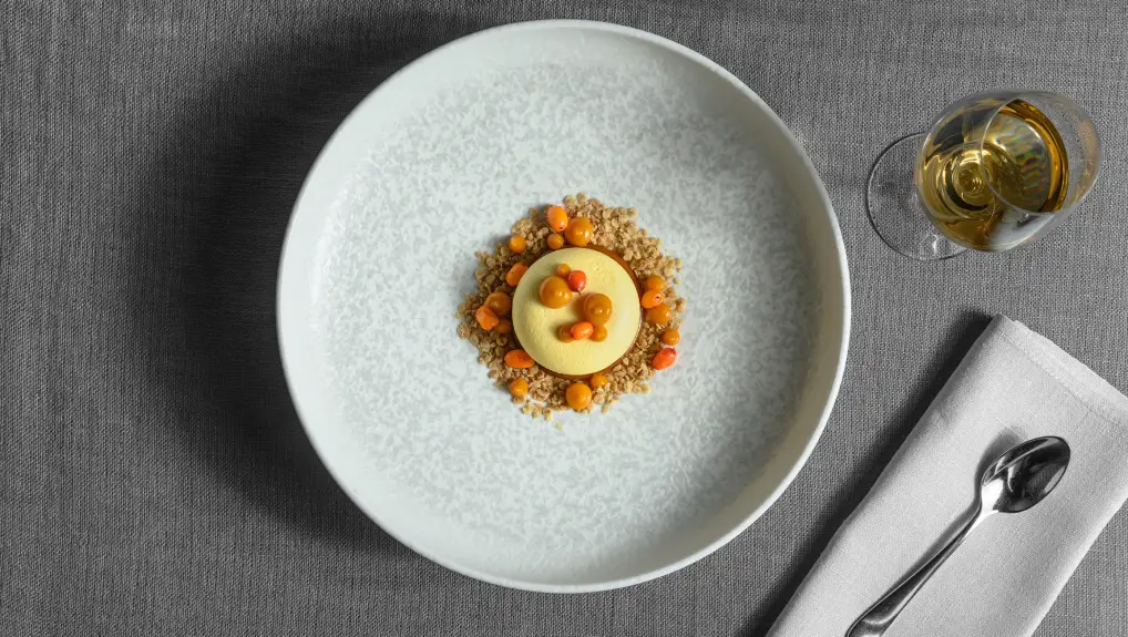 lifestyle image of melamine or porcelain plate