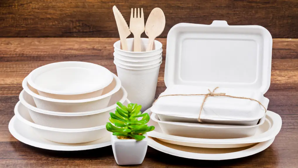 Set of unbleached plant fiber food box and paper coffee cup- local vs online catering supplies