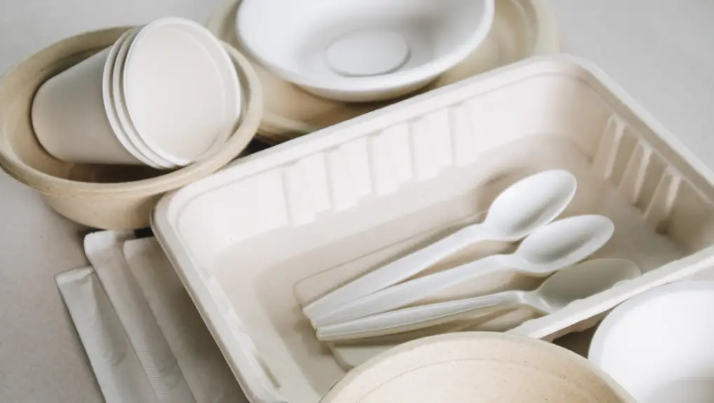 Environmentally friendly products for global sustainability- local vs online catering supplies