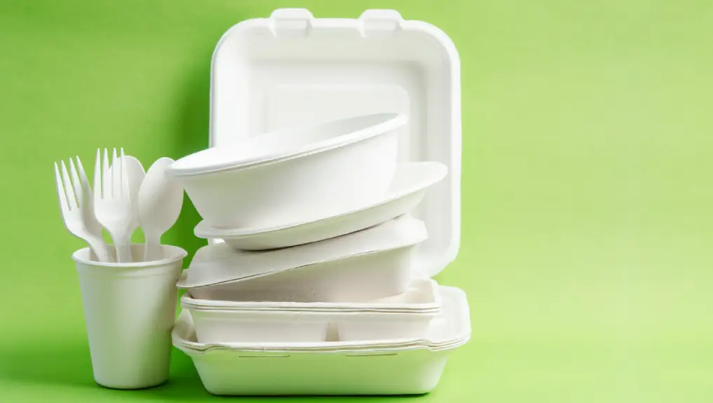 Eco friendly biodegradable paper disposable for packaging food and paper glass on green background. environmental impact of wholesale disposables

