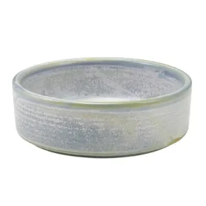 GenWare Terra Porcelain Seafoam Presentation Bowl 13cm/5"